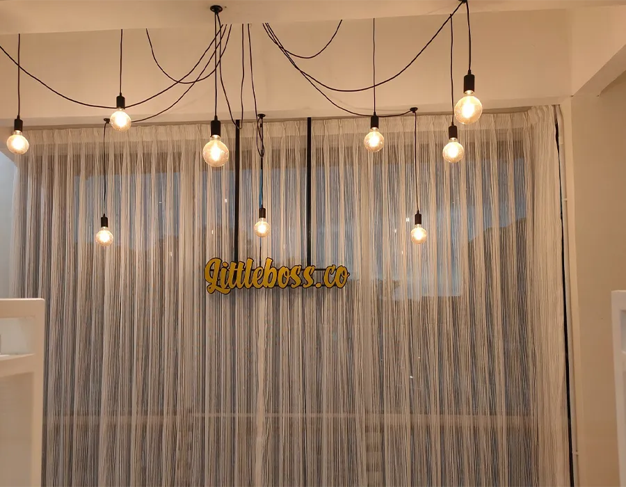 interior designer 5